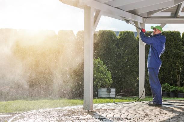 Best Vinyl Siding Pressure Washing in Williamston, NC