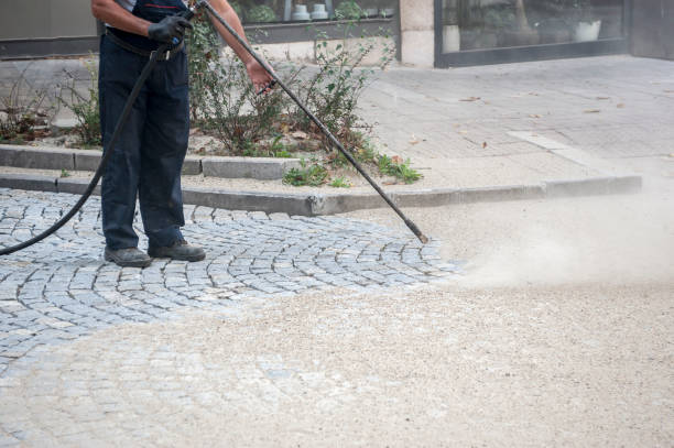 Best Soft Washing for Delicate Surfaces in Williamston, NC