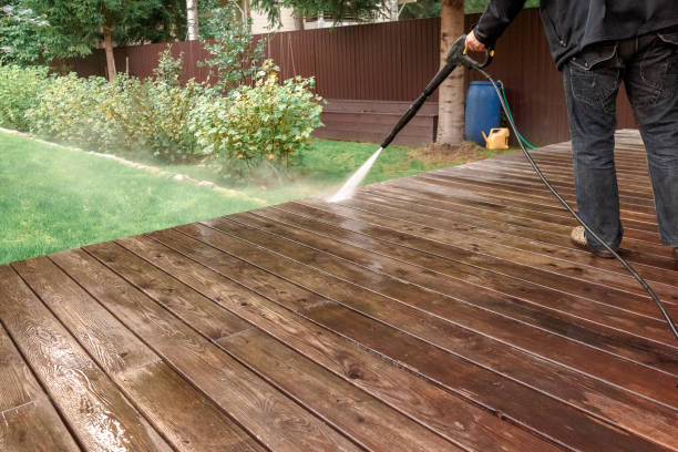 Best Roof Cleaning and Mildew Removal in Williamston, NC
