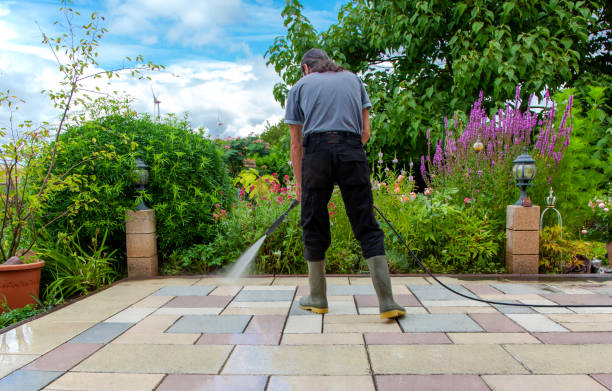 Best Driveway Cleaning and Restoration in Williamston, NC