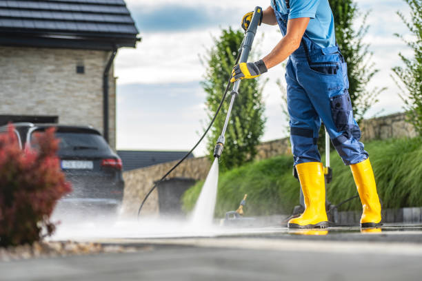Best Fence Cleaning and Maintenance in Williamston, NC